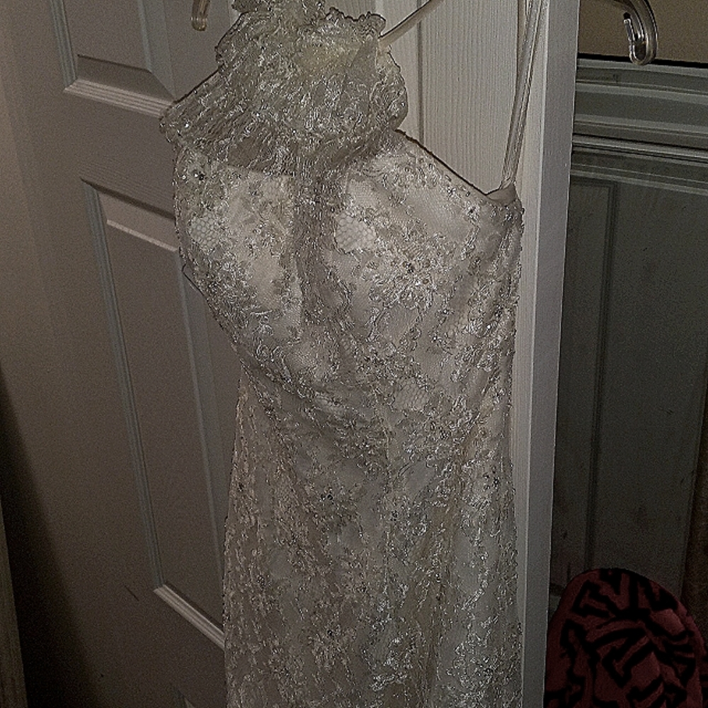 Pronovias Barcelona wedding dress size shown below does come with pink protector